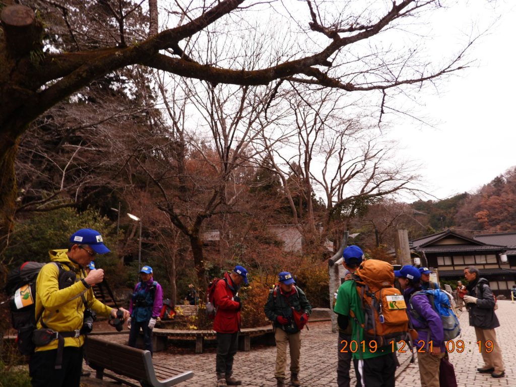 域外野鳥観察会in 高尾山19 12 21 土 奥多摩サポートレンジャー会